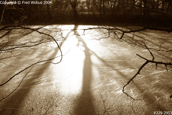 Backlit shadows