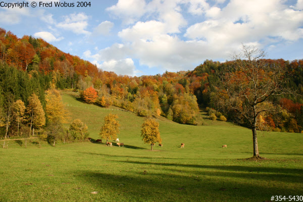 Autumn colours