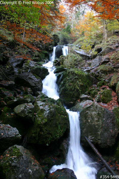 Treffling Fall