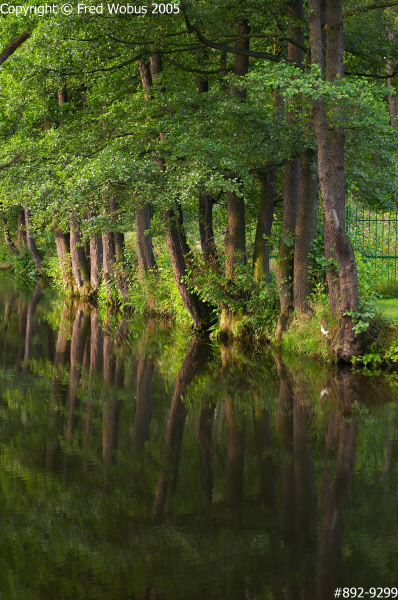 Morning light on the river