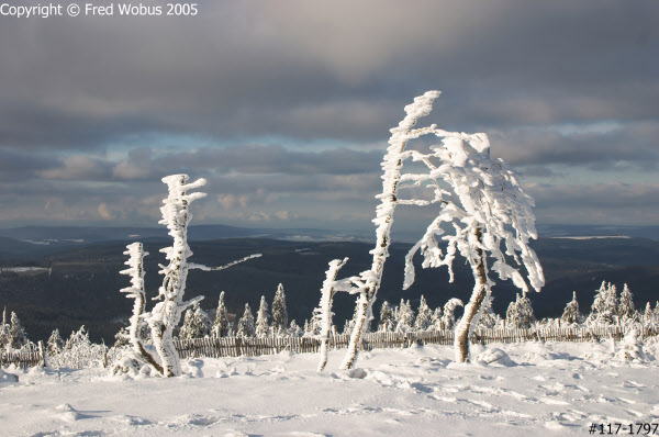 Wind-blown ice