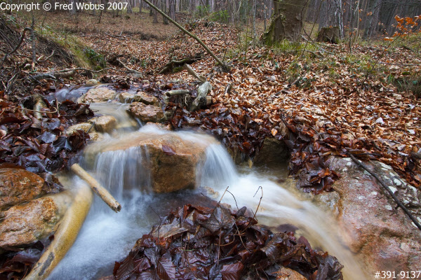 Rohrbach stream