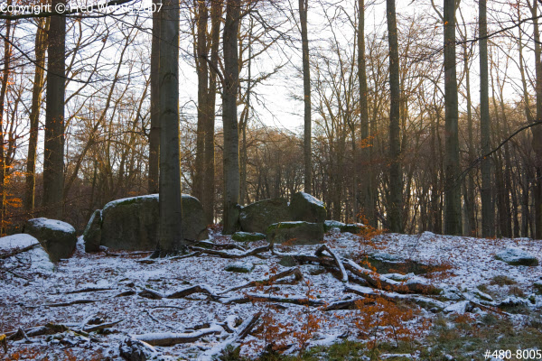 Dusting of snow