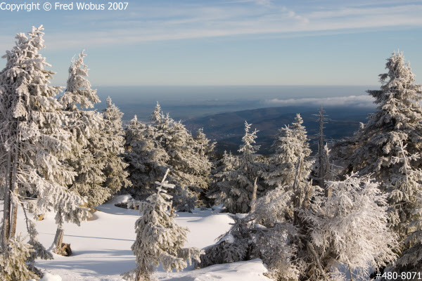 Brocken view