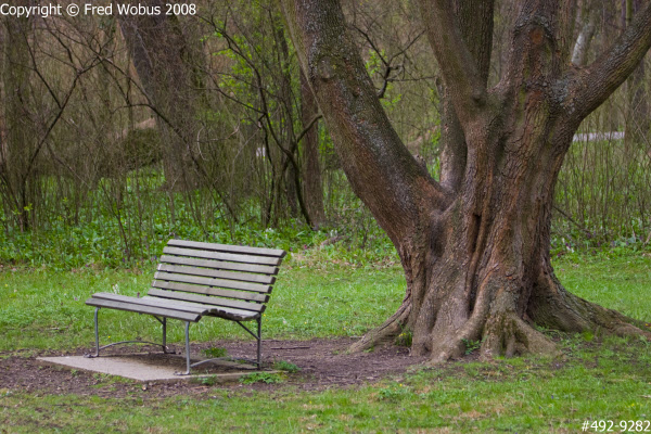 Park bench