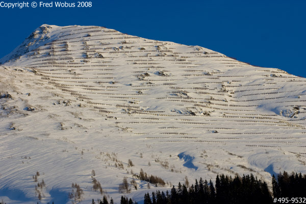 Avalanche protection