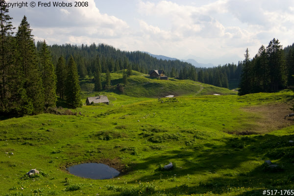 Ybbstaler Hut