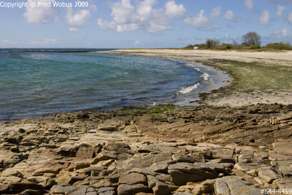 Rocky beach