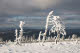 Wind-blown ice