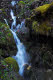 Road-side water fall