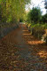 Town trail and gate