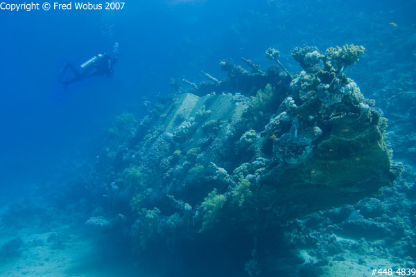 Diver on the Abu Galawa Wreck