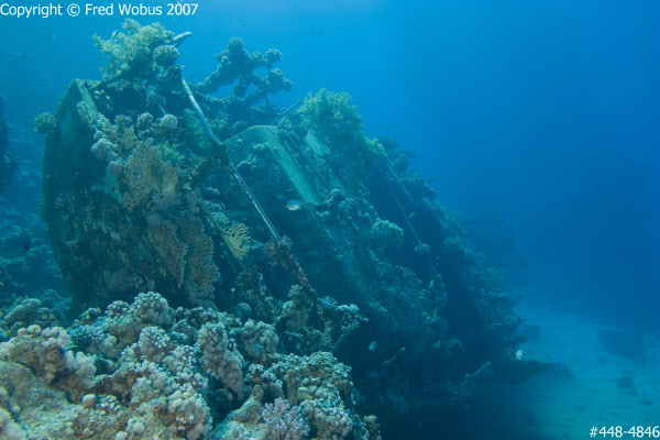 Abu Galawa Wreck